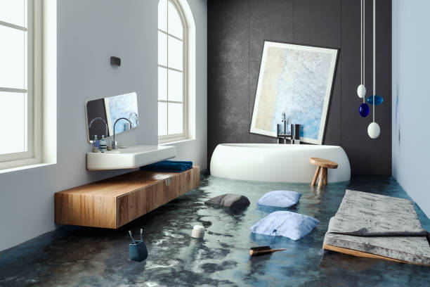 Best Professional water damage repair  in Decatur, GA