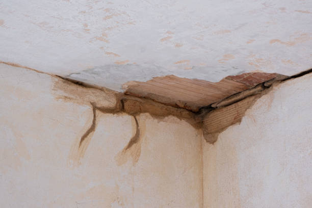 Best Flooded house restoration  in Decatur, GA