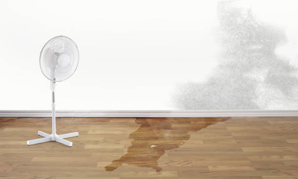 , GA Water damage restoration Company
