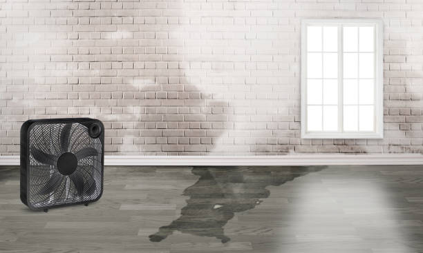 Best Commercial water damage restoration  in Decatur, GA