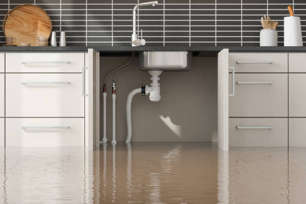Best Flood damage cleanup  in Decatur, GA