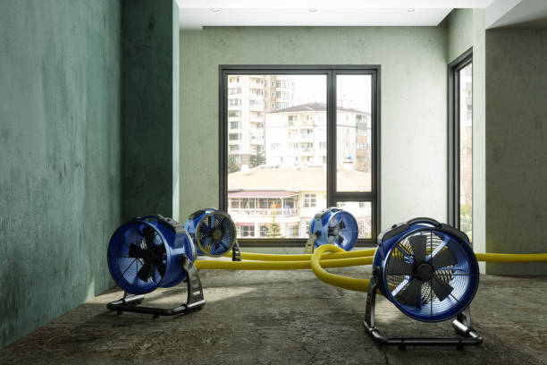 Best Water damage contractors near me  in Decatur, GA